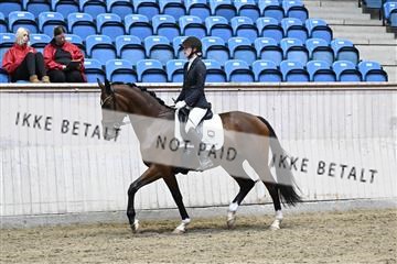 182241_kbb_01_Z093316.JPG