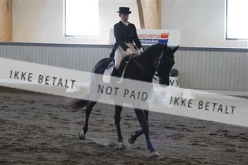 139267_kl_1_8M1Q6814.JPG