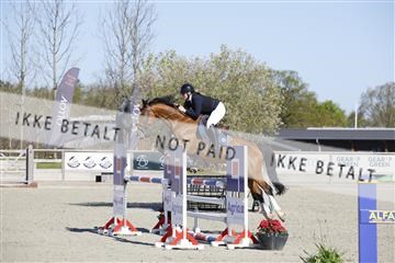 181332_kbb_01_6II3634.JPG