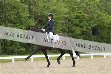 139835_sg_02_IMG_8476.JPG