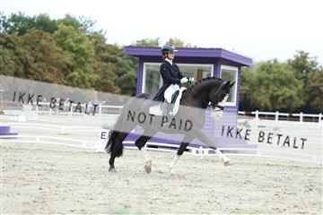 181923_mtp_01_R62_6774.JPG
