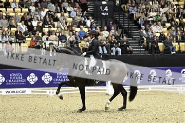 182194_kbb_03_Z092440.JPG