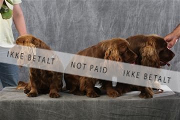 129608_le_ 01_0746.JPG