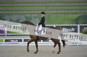 144462_bc_07__BC11428.JPG