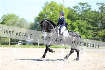 168732_mtp_01_3M5A7854.JPG