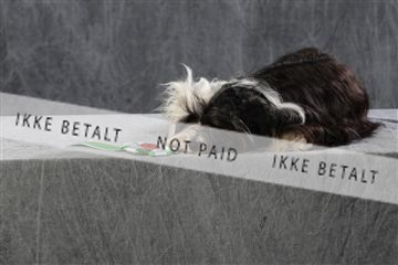 128239_le_kort_ 01_0087.JPG