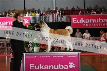 6068_ma_05_IMG_5678.JPG