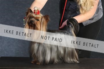 132082_le_ 01_IMG_0360.JPG