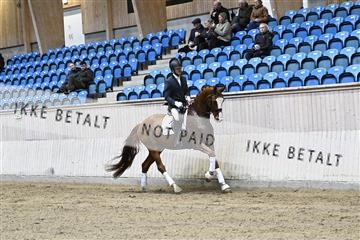 182241_kbb_01_Z094235.JPG