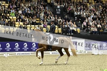 182194_kbb_03_Z092073.JPG