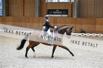 182176_kbb_01_Z094144.JPG