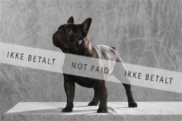 130054_le_ 01_0287.JPG