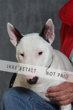 130054_le_ 03_0326.JPG