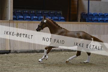 139327_abo_01__AB10173.JPG