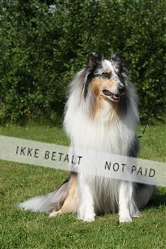 130370_se_03_IMG_7555.JPG