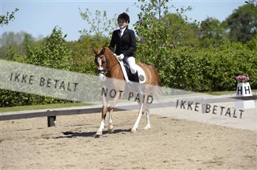 139815_ms_01__MS27310.JPG