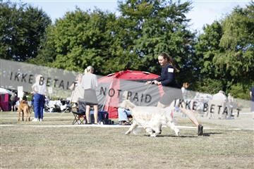 181848_kar_01__62_3173.JPG