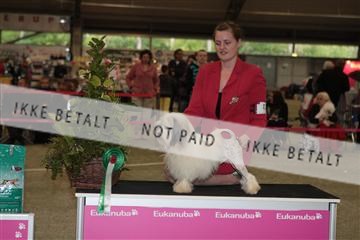 126168_se_01_IMG_6823.JPG
