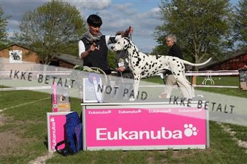 134871_ms_04_IMG_1857.JPG