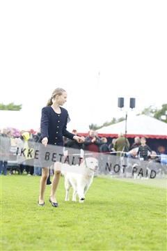 182009_rin_01__62_6426.JPG