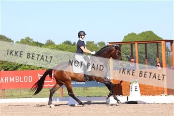 181449_bc_01R62_6236.JPG