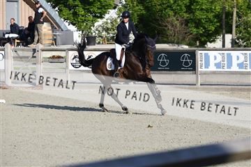 181436_avh_01_2796.JPG