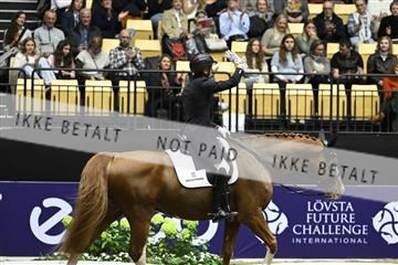 182194_kbb_03_Z092081.JPG
