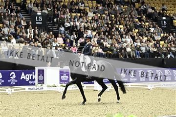 182194_kbb_03_Z092632.JPG