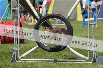 130370_tl_02_IMG_7836.JPG