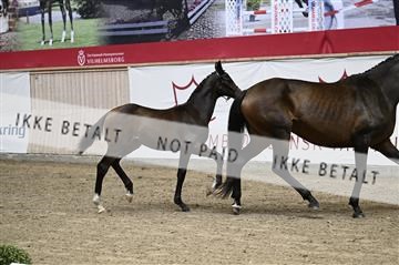 181957_kbb_01_Z097064.JPG