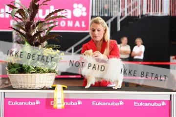 6068_ma_07_IMG_7115.JPG
