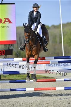 139644_abo_02__AB14720.JPG