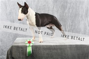 129608_le_ 02_0269.JPG