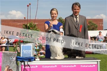 130370_se_03_IMG_7827.JPG