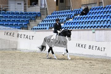 182241_kbb_01_Z094121.JPG