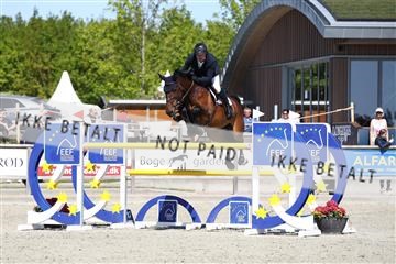 181436_avh_02_3957.JPG