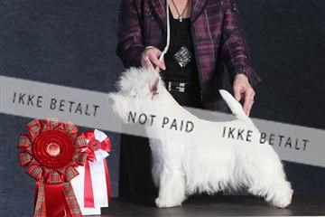 132082_le_ 01_IMG_1395.JPG