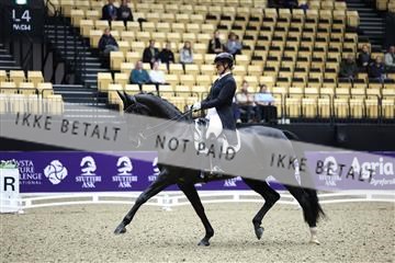 182194_mlm_01_R62_9482.JPG
