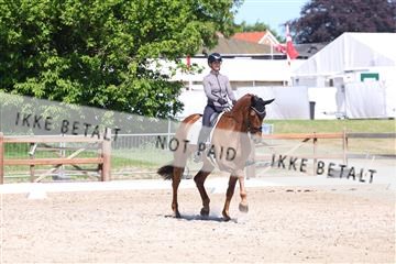 181449_bc_01R62_5666.JPG