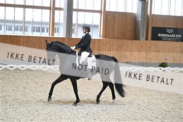 182176_kbb_01_Z092746.JPG