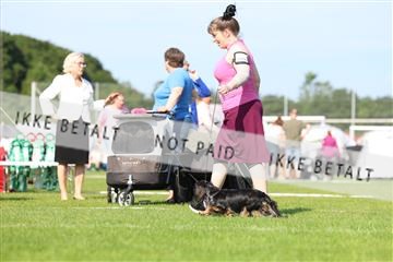181564_rin_02_R62_1086.JPG