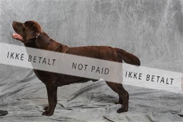 130054_le_ 01_0380.JPG