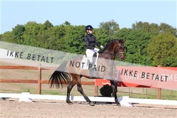 181449_bc_01R62_6327.JPG
