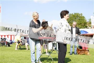 181564_kar_01__62_7324.JPG