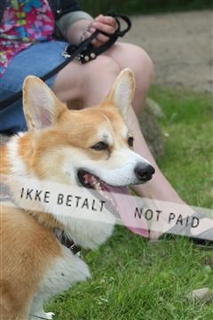 130370_se_02_IMG_5539.JPG