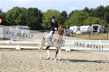 181894_mtp_05_R62_4861.JPG