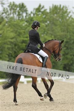 139835_sg_01_IMG_8345.JPG