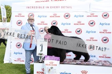 181564_kar_01__62_7056.JPG