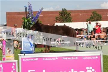 130370_se_03_IMG_7782.JPG