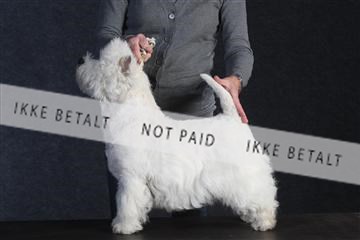 132082_le_ 01_IMG_0401.JPG